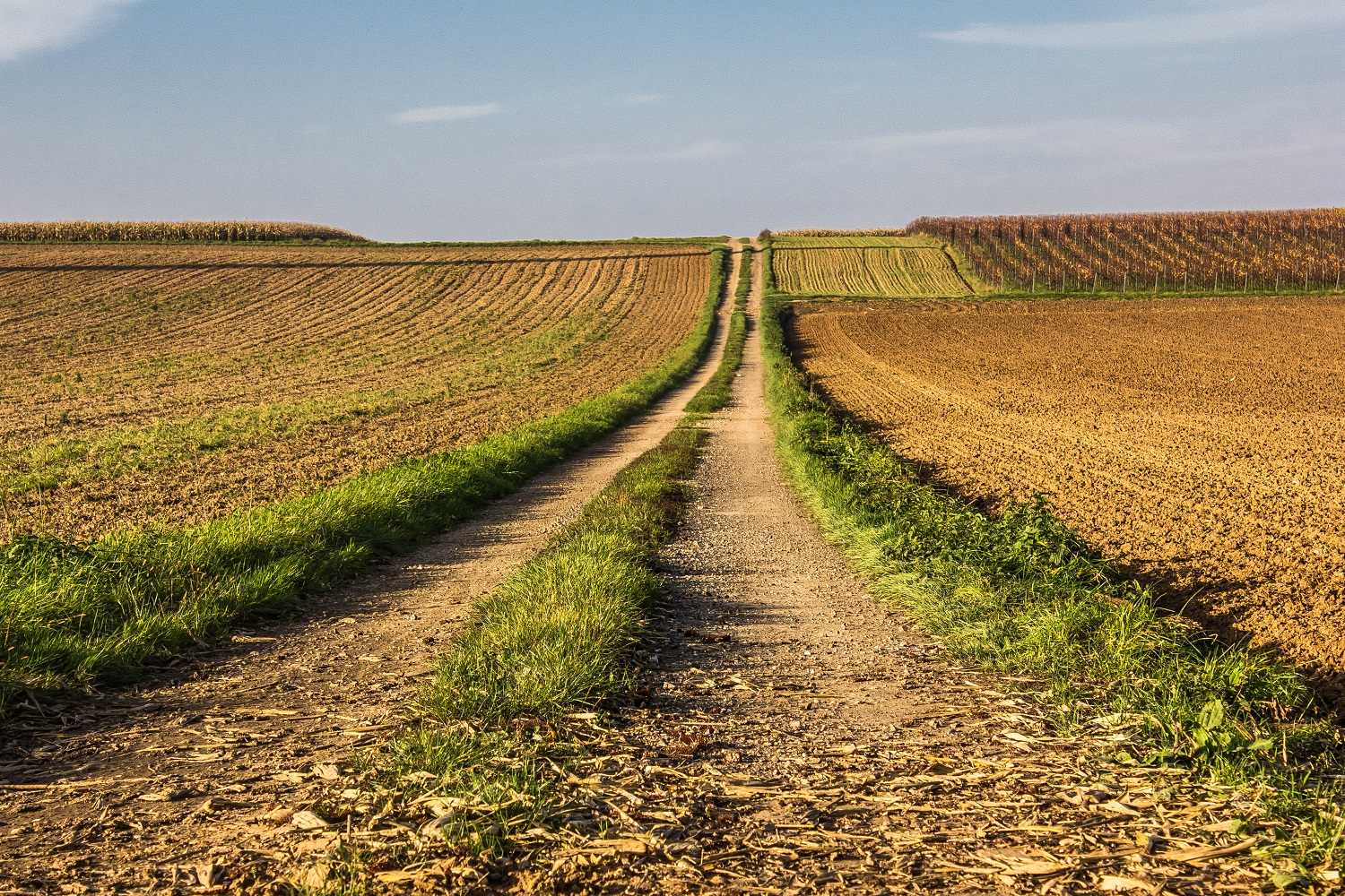 Paths And Planes And Future Gains