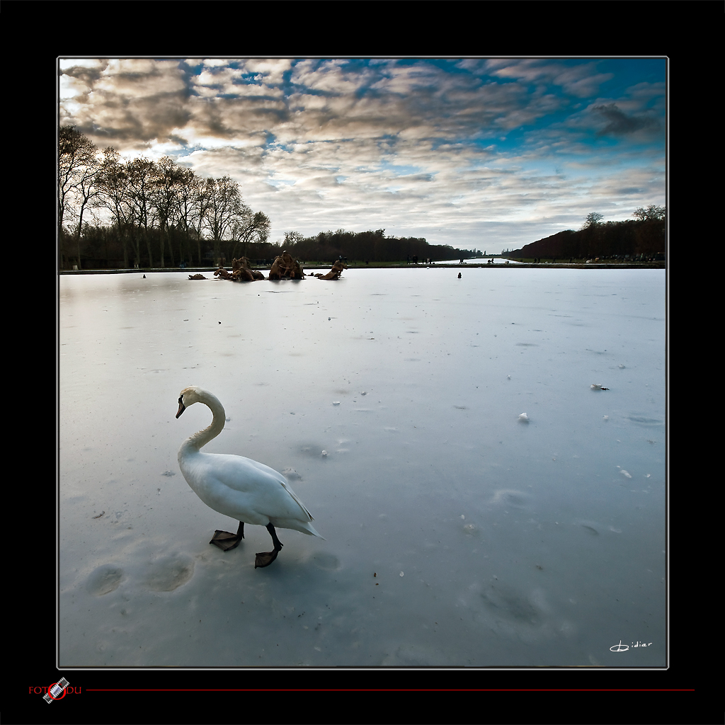 Patinage artistique