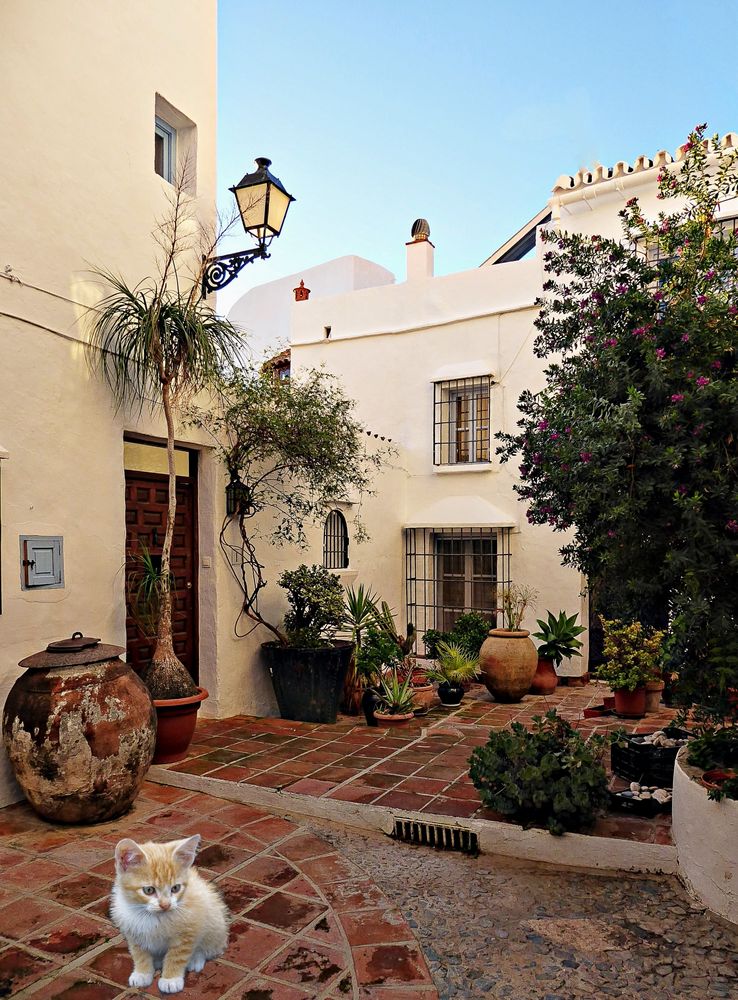 Patio à Frigiliana 