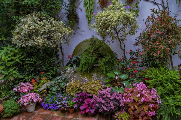 PATIO CALLE ALVAR RODRIGUEZ