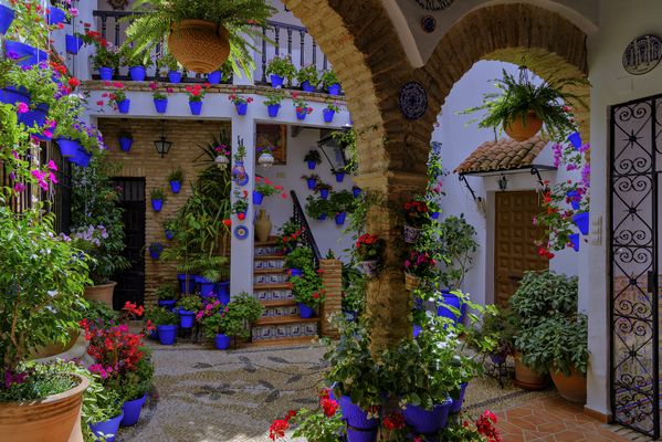 PATIO CALLE CUSTODIO