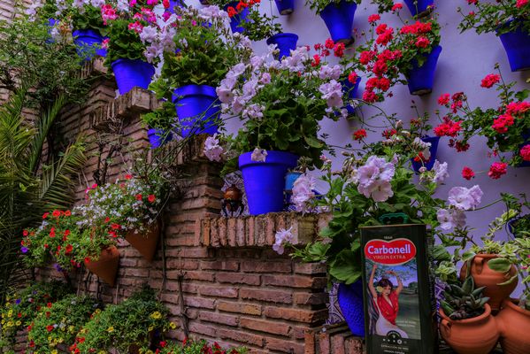 PATIO CALLE GUZMANAS 2