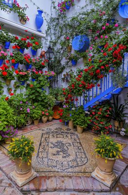 PATIO CALLE GUZMANAS
