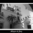 Patio de Armas. Alcazar de Jerez.