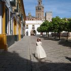 patio de banderas