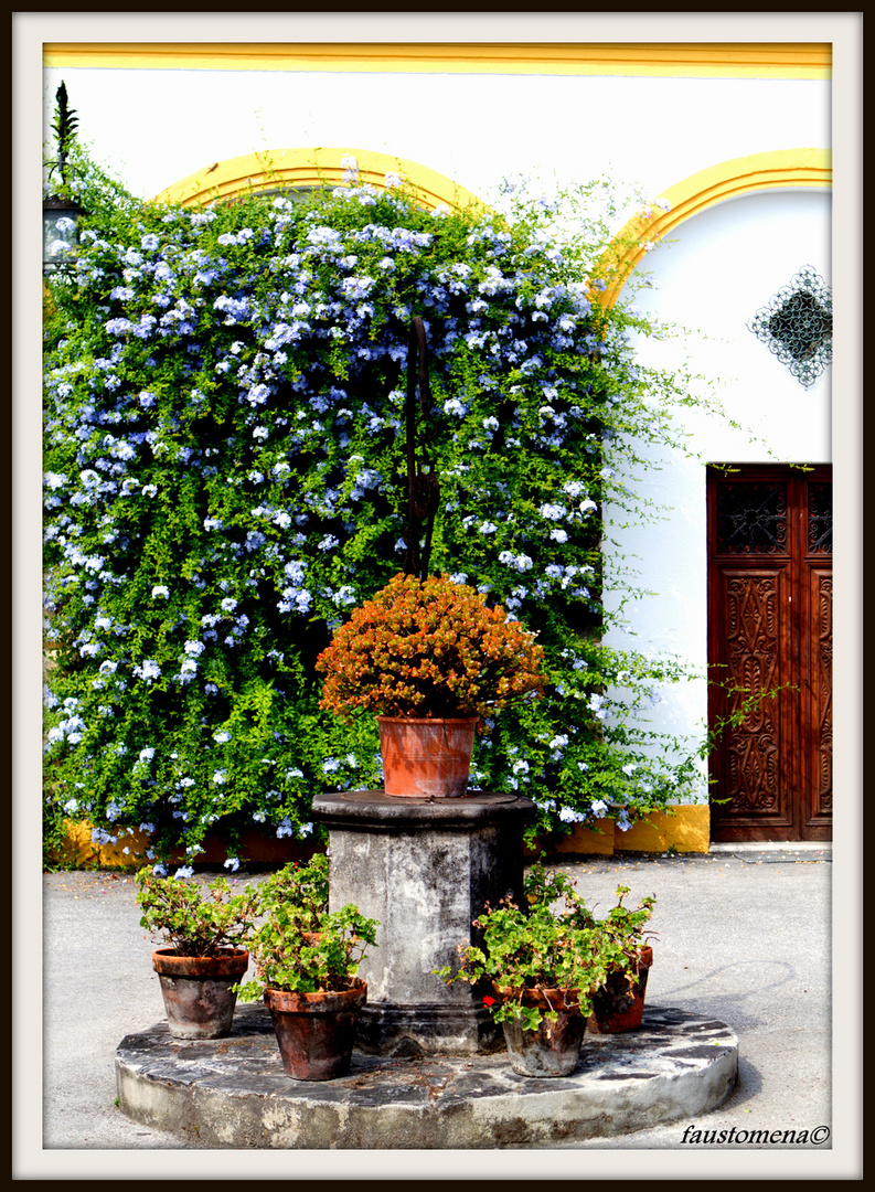 Patio de bodega andaluza