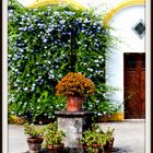 Patio de bodega andaluza