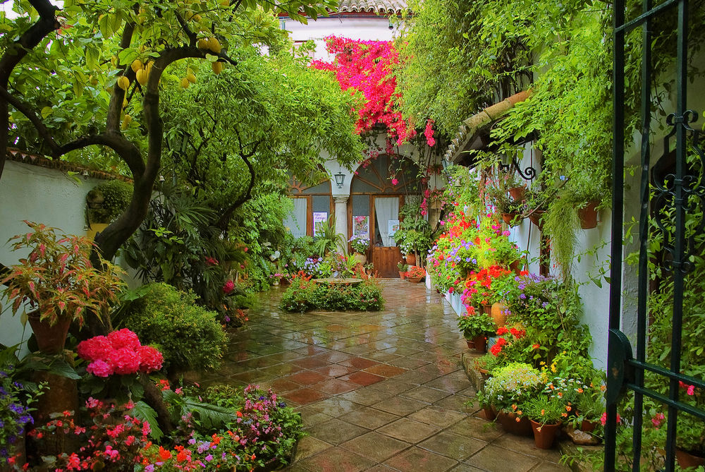 PATIO DE  CÓRDOBA 2