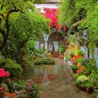 PATIO DE  CÓRDOBA 2