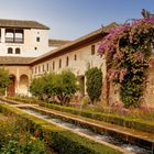 Patio de la Acequia 