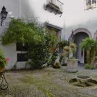 Patio de la "Casa de Los Guzmanes" en Cordoba-Andalucia- España
