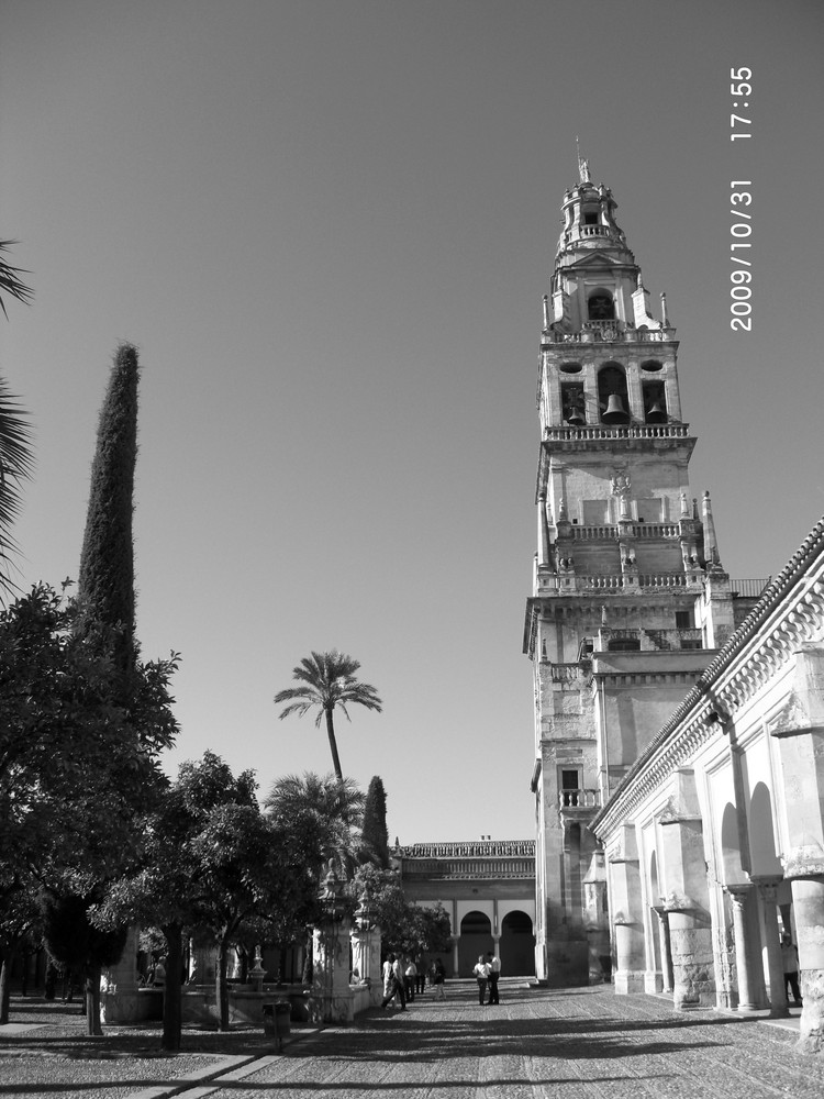 patio de la mezquita cordoba