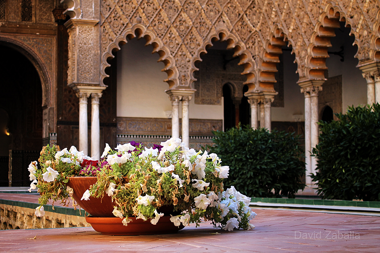 Patio de las Doncellas- Real Alcazar de Sevilla