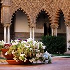 Patio de las Doncellas- Real Alcazar de Sevilla