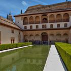 PATIO DE LOS ARRAYANES