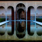 PATIO DE LOS ARRAYANES