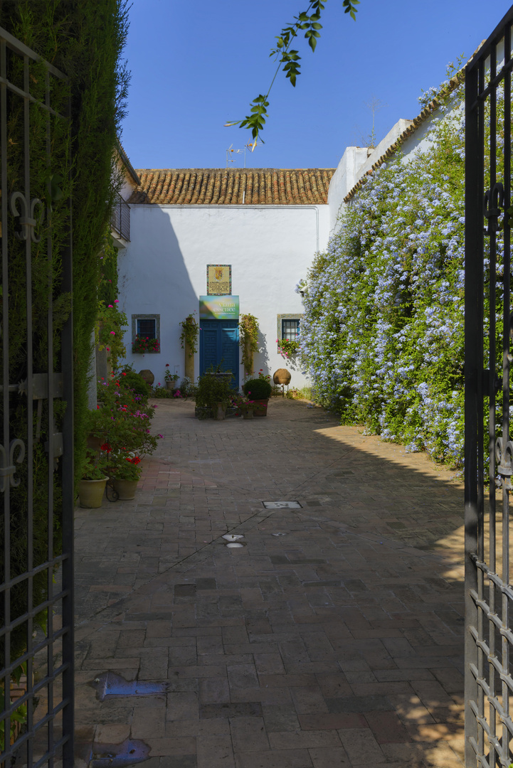 PATIO DE LOS JARDINEROS (I)