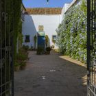 PATIO DE LOS JARDINEROS (I)