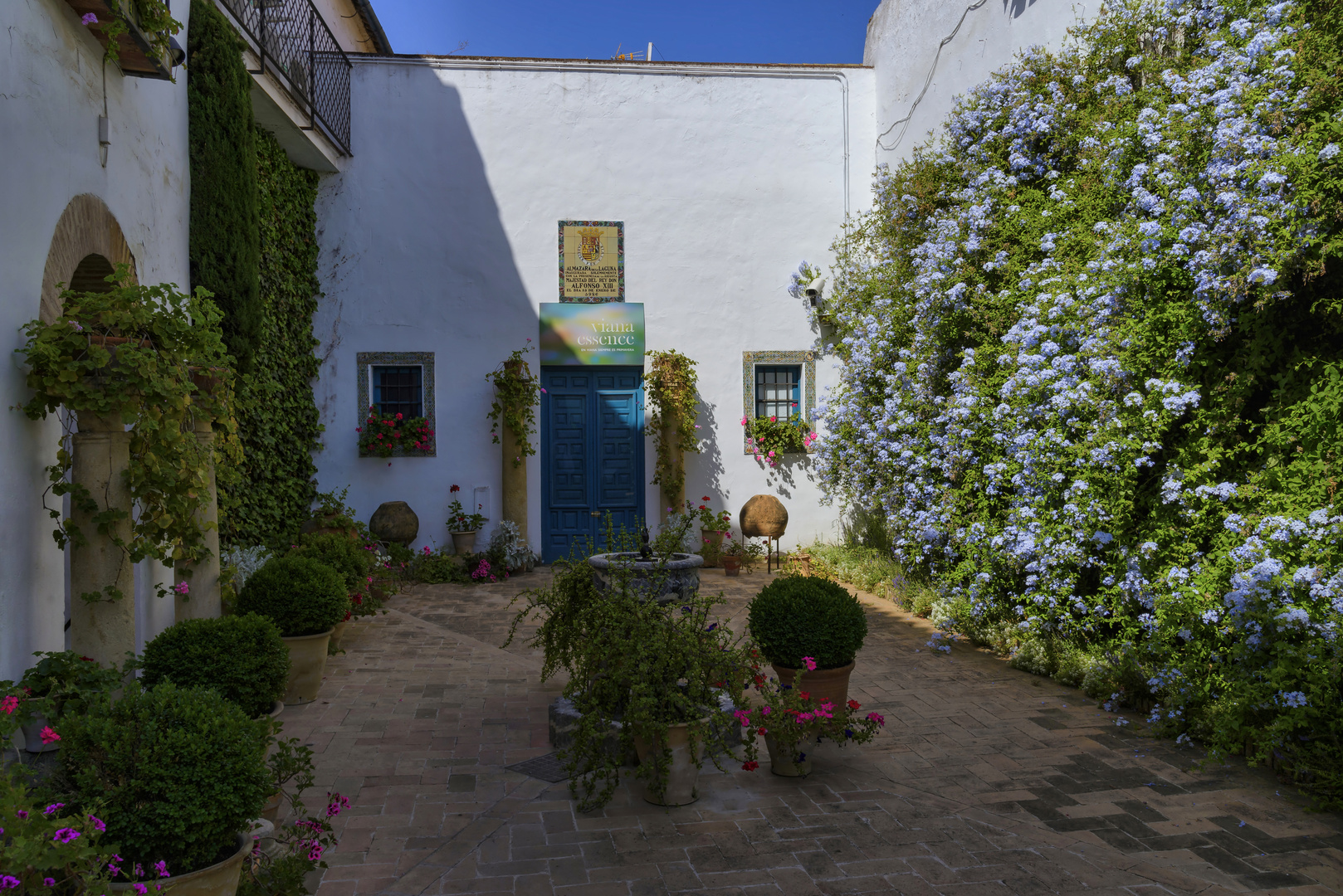 PATIO DE LOS JARDINEROS (II)