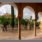 Patio de los Naranjos