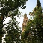 Patio de los naranjos