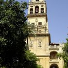 Patio de los naranjos