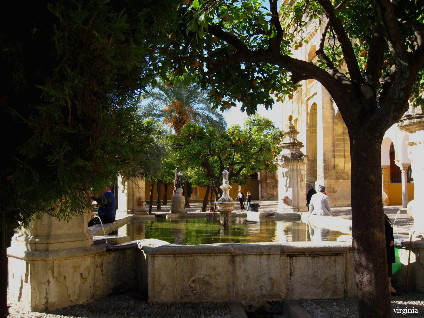 PATIO DE LOS NARANJOS EN LA MEZQUITA DE CORDOBA