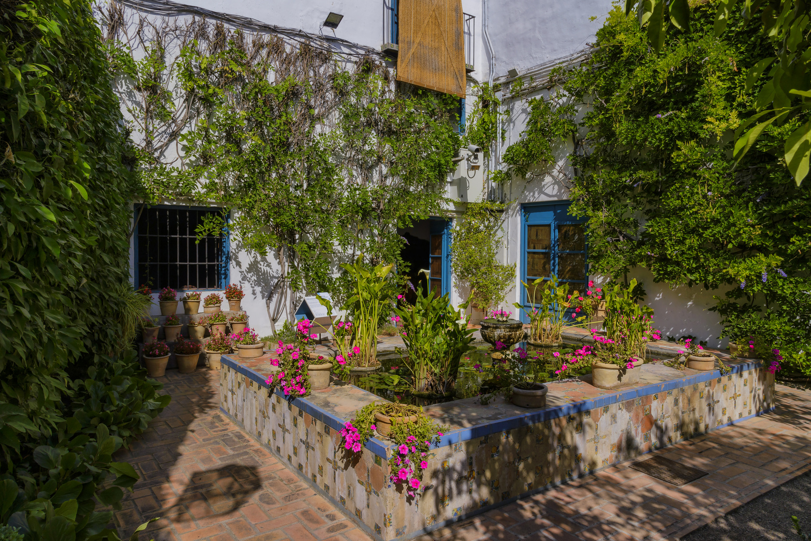 PATIO DE LOS NARANJOS (estanque )