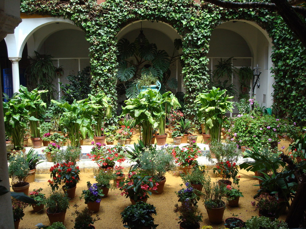 Patio de Sevilla