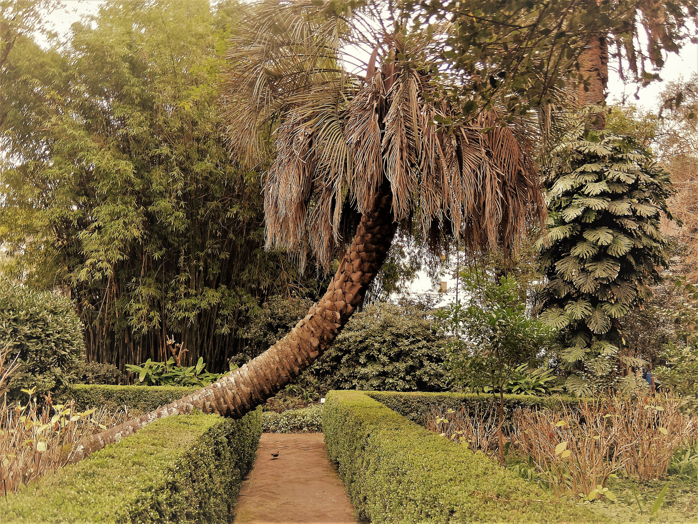 PATIO DEL MUSEO LARRETA