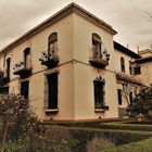 PATIO DEL MUSEO ,LARRETA