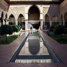 patio del yeso alcazar de sevilla