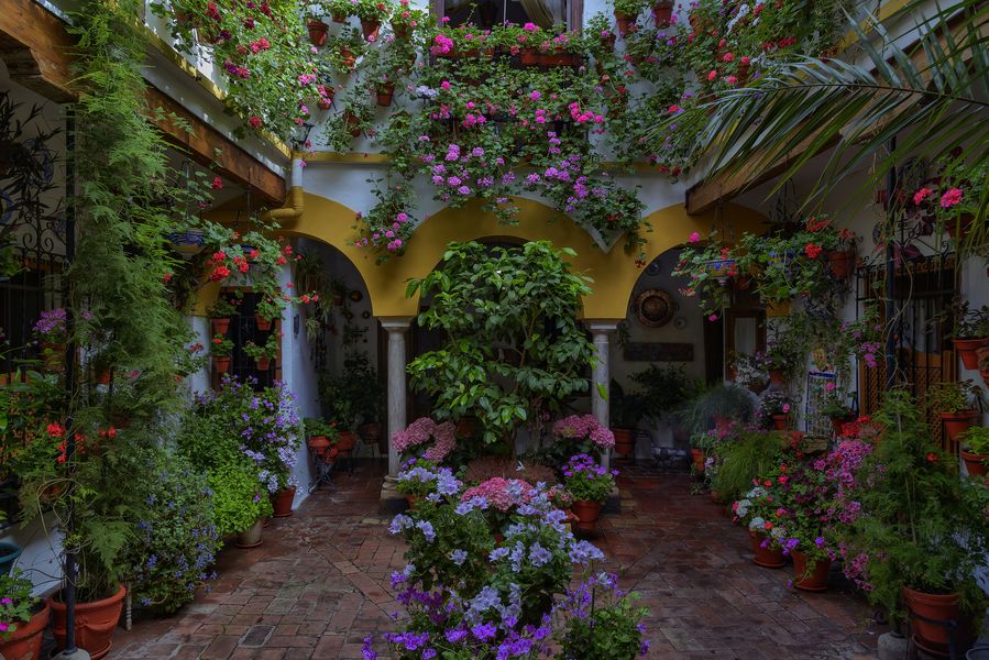PATIO DUQUE DE LA VICTORIA