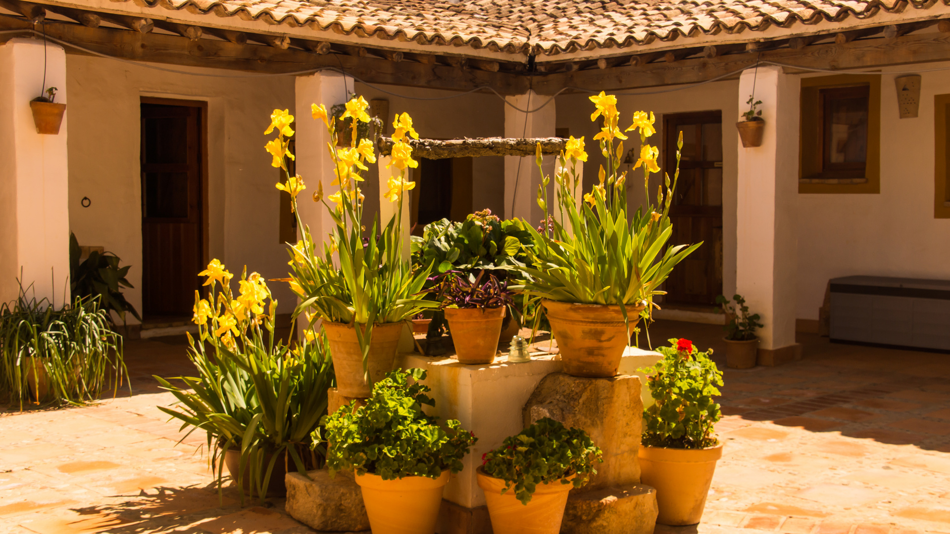 Patio einer Finca - Ronda/Andalusien