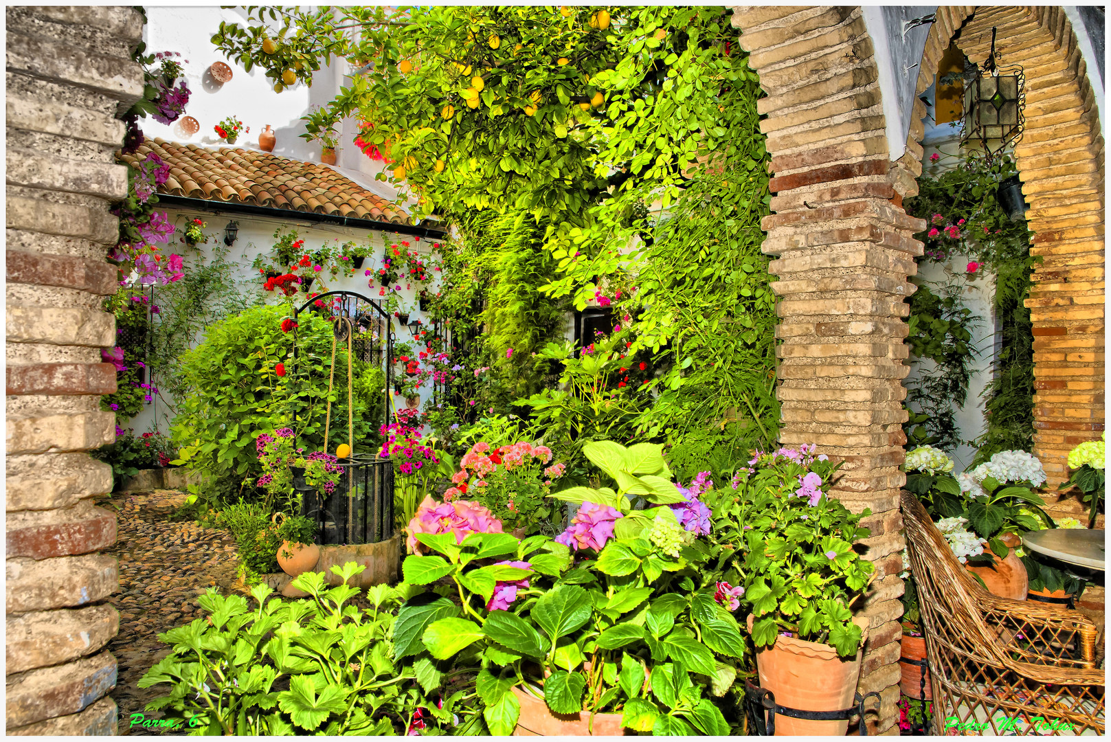 Patio en Còrdoba.