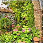 Patio en Còrdoba.