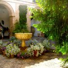 PATIO EN EL PALACIO DE VIANA-CORDOBA