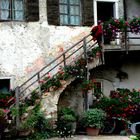 Patio im Herbst, Trentino