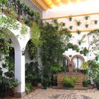 Patio in Cordoba