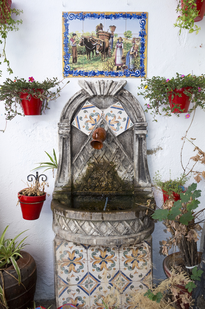 Patio in Ronda 1