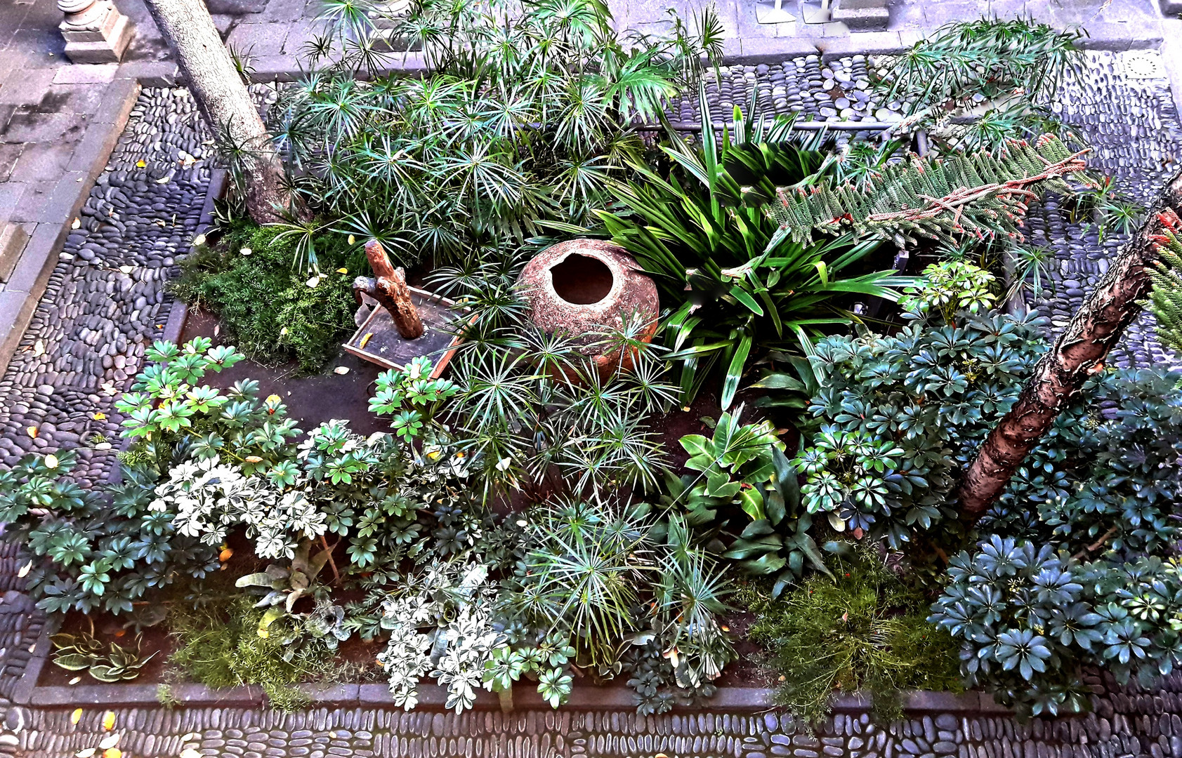 patio intérieur de la villa Colon