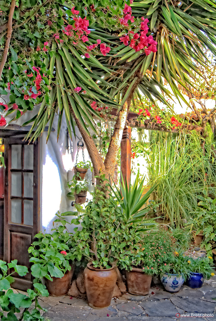 Patio trasero Foto & Bild | europe, canary islands die kanaren, spain
