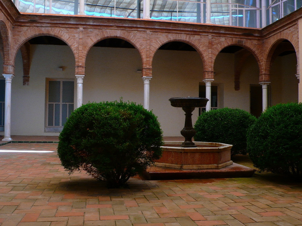 Patio y Fuente