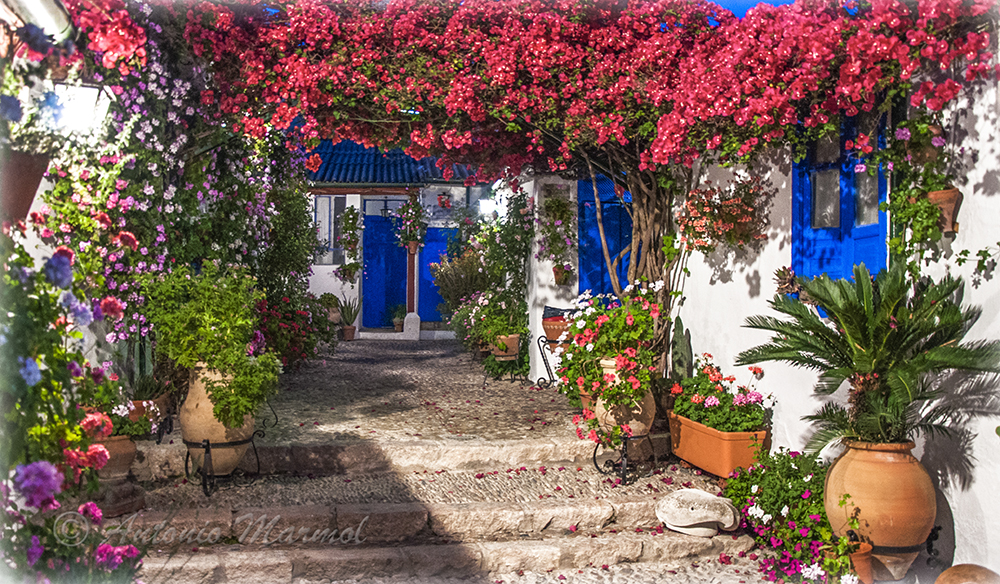 Patios Cordobeses - Marroquies,6