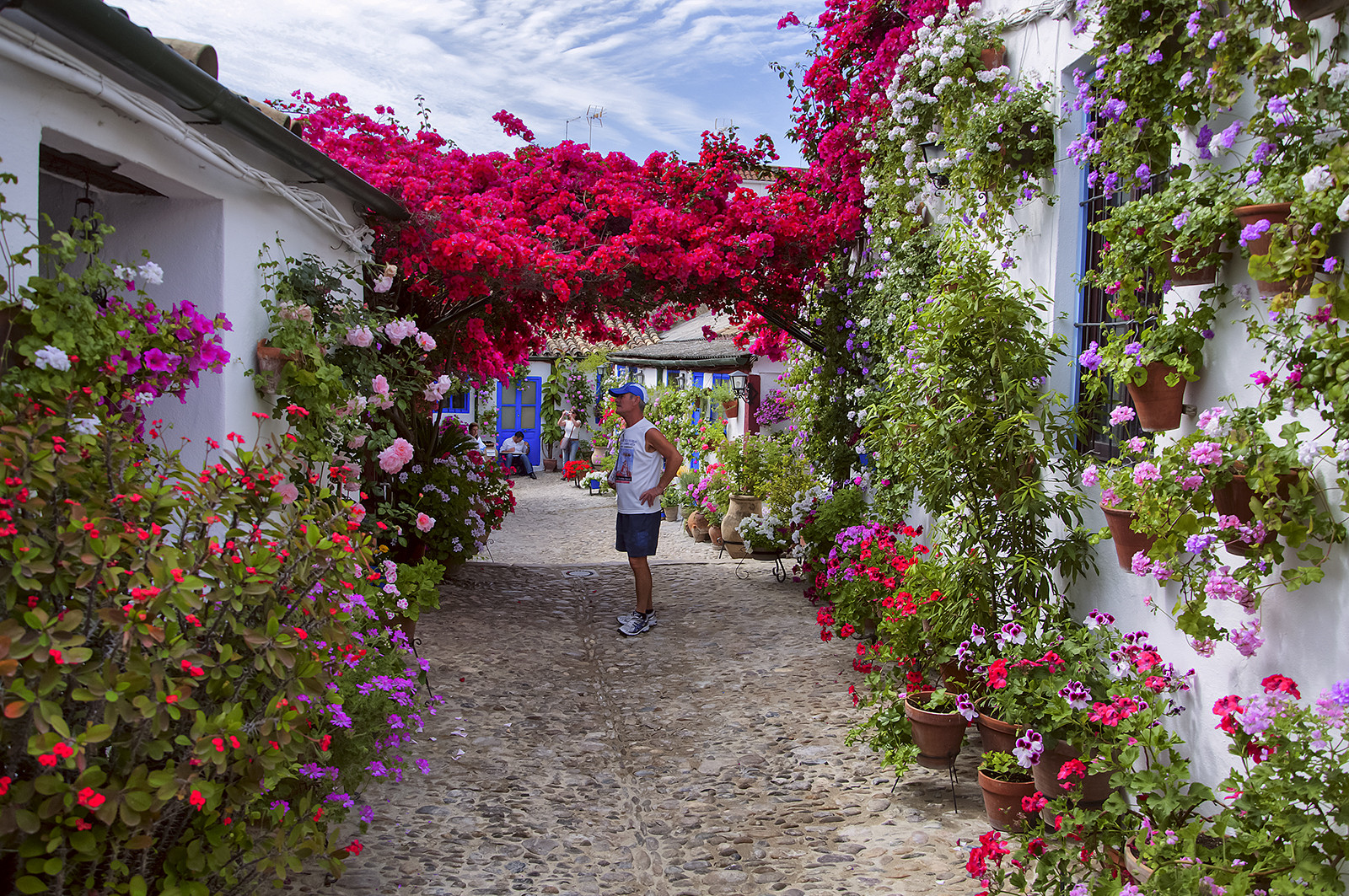 Patios de Córdoba