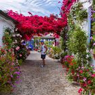 Patios de Córdoba