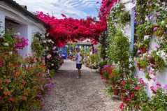 Patios de Córdoba