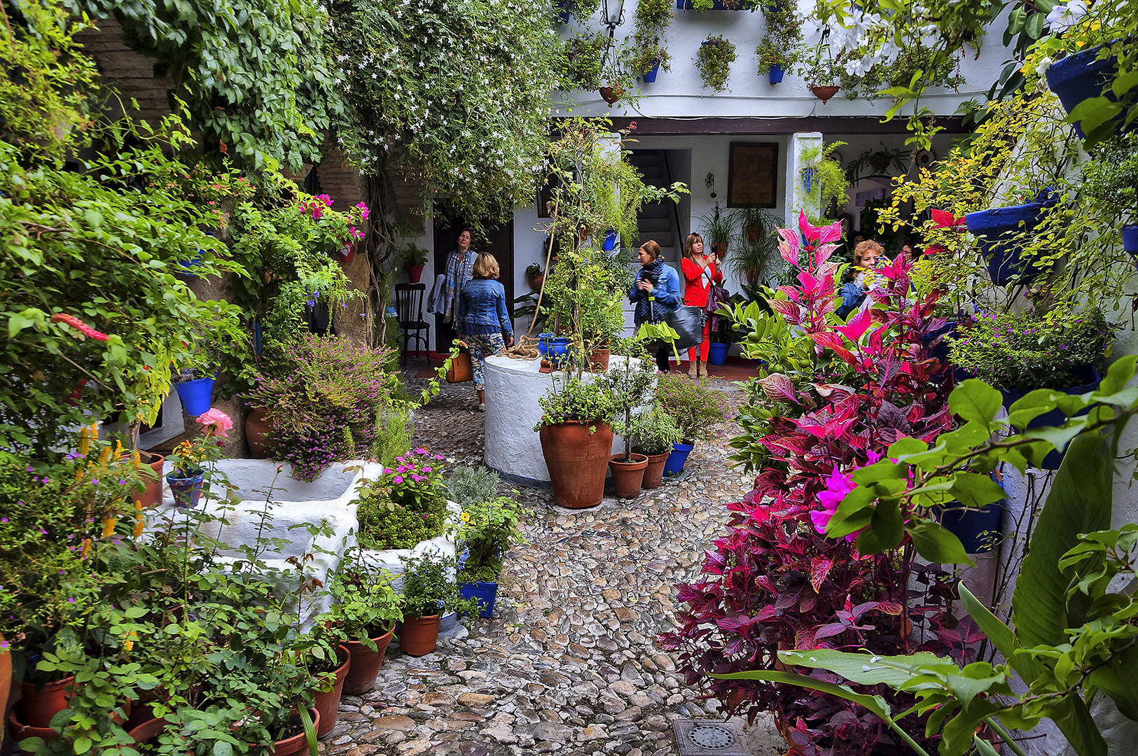 Patios de Córdoba