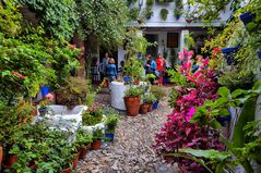 Patios de Córdoba