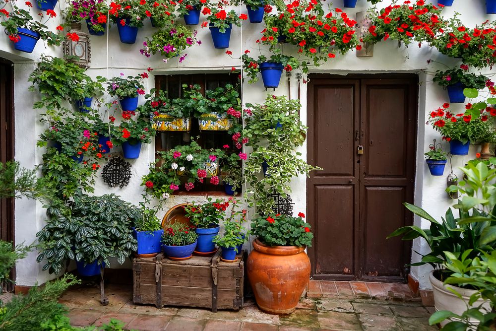 Patios de Córdoba